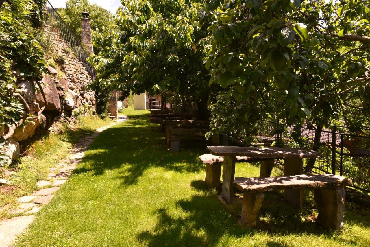 Hotel Balcon Del Pirineo Rural Ordesa Buesa Exteriér fotografie