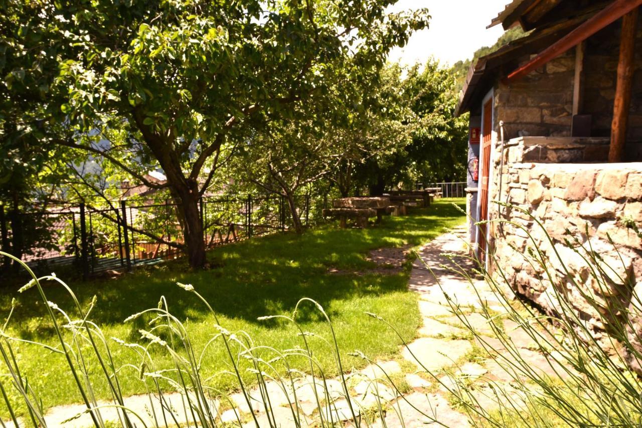 Hotel Balcon Del Pirineo Rural Ordesa Buesa Exteriér fotografie